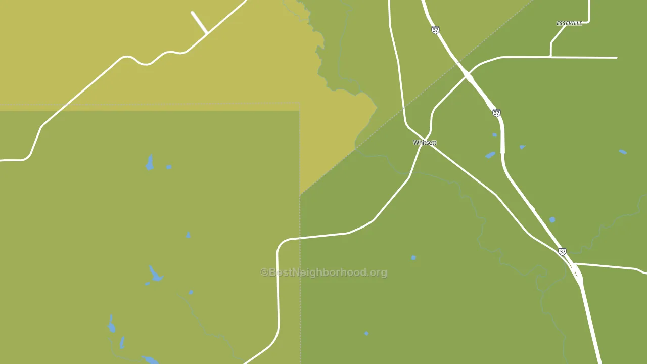 Whitsett, TX block-group voter-turnout map