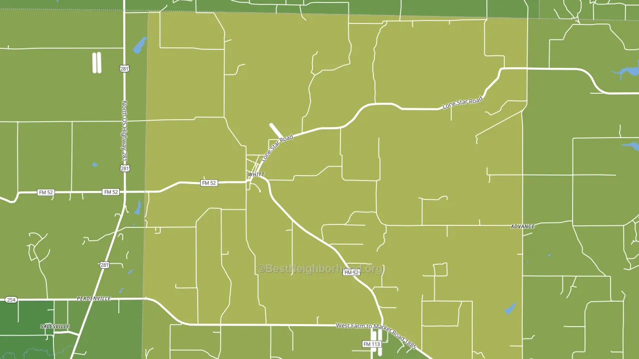 Whitt, TX block-group voter-turnout map