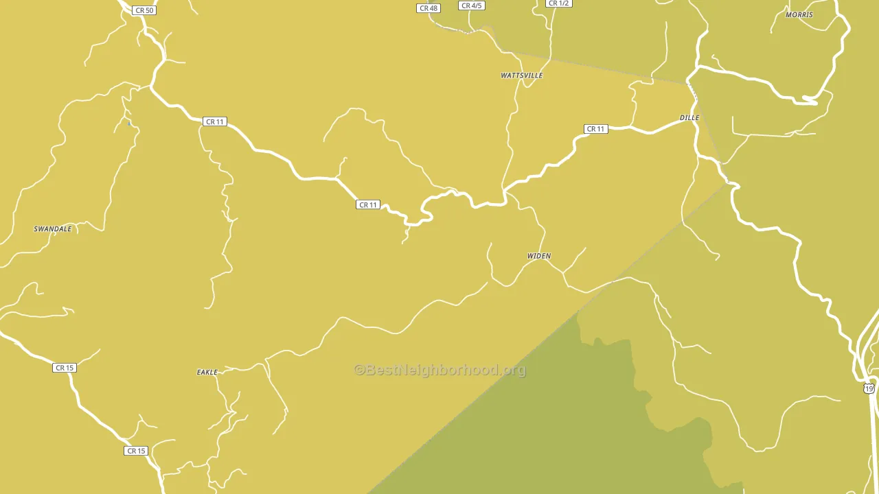 Widen, WV block-group voter-turnout map