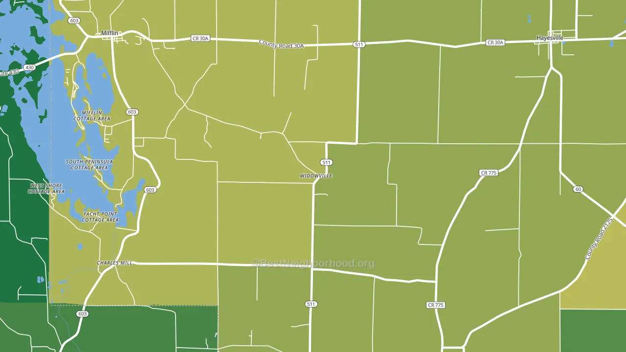 Widowville, OH block-group voter-turnout map
