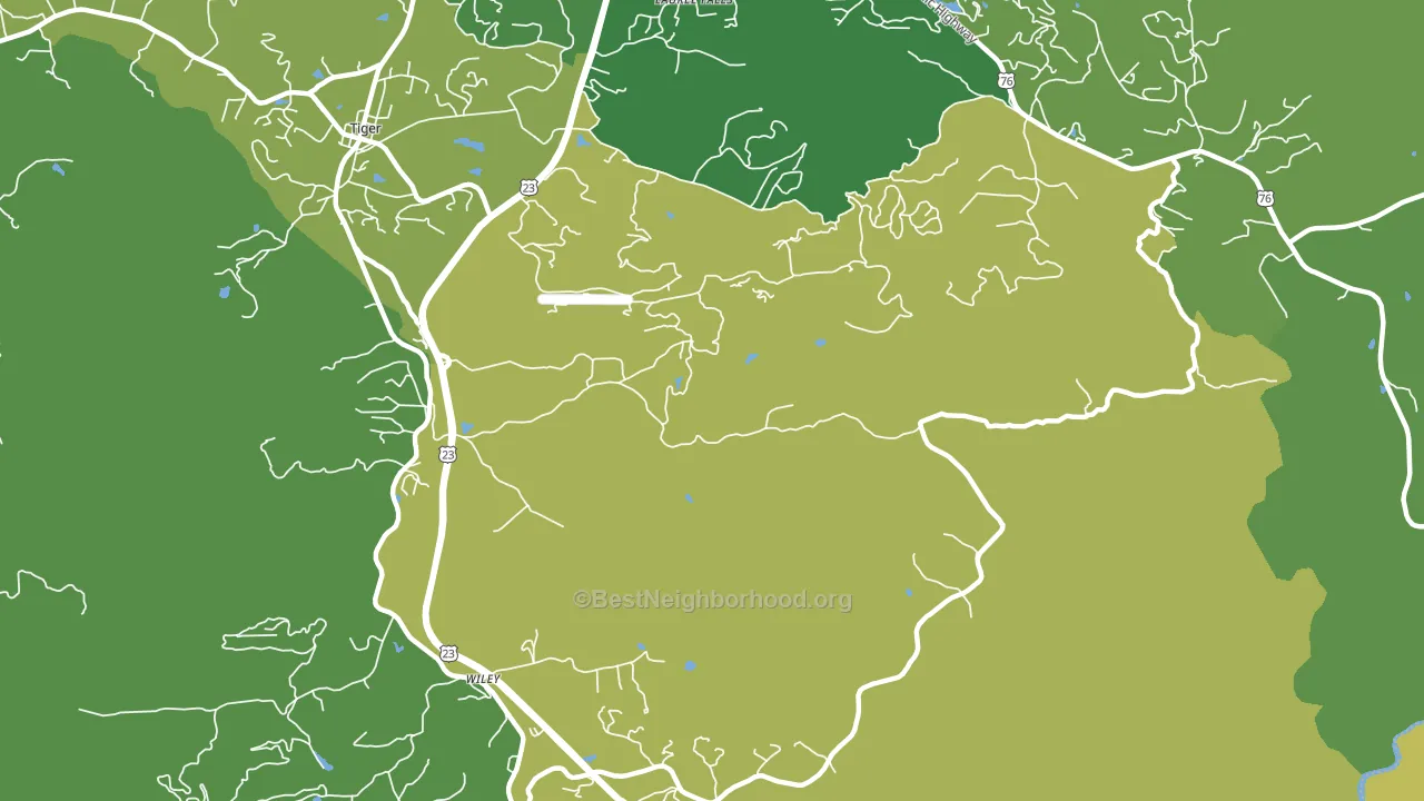 Wiley, GA block-group voter-turnout map