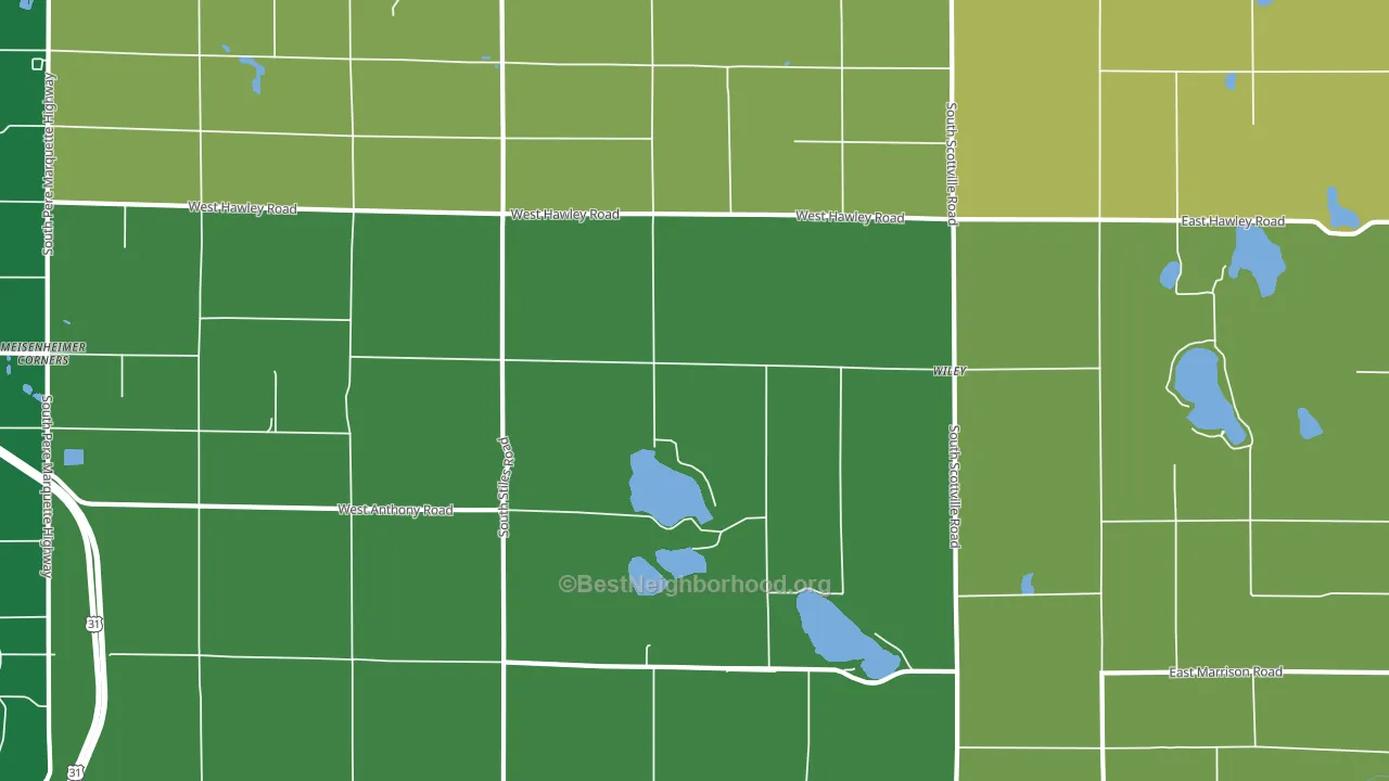 Wiley, MI block-group voter-turnout map