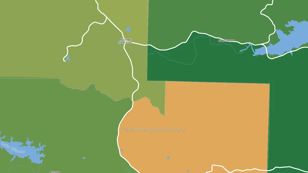 Williams Junction, AR block-group voter-turnout map