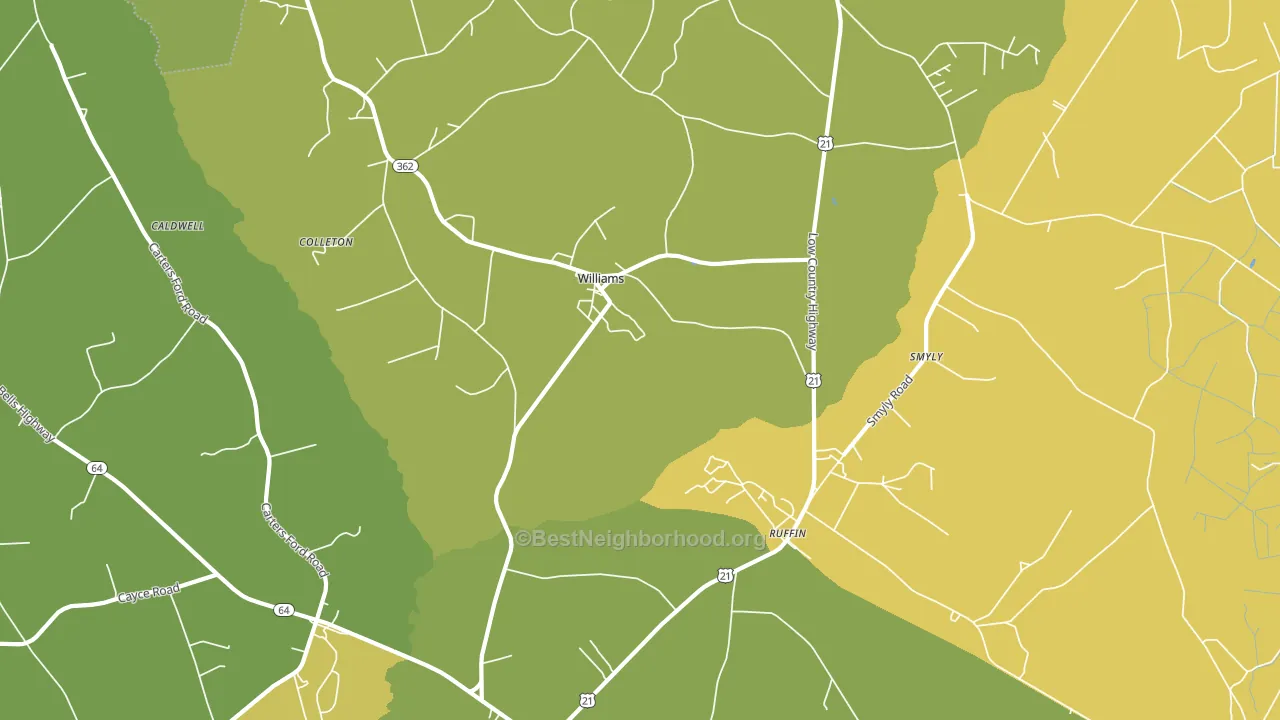 Williams, SC block-group voter-turnout map