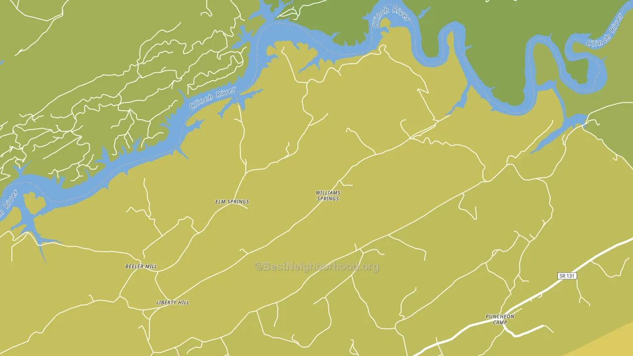Williams Springs, TN block-group voter-turnout map