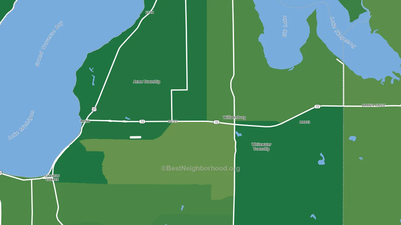 Williamsburg, MI block-group voter-turnout map