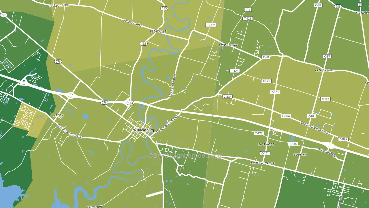 Williamsburg, OH block-group voter-turnout map
