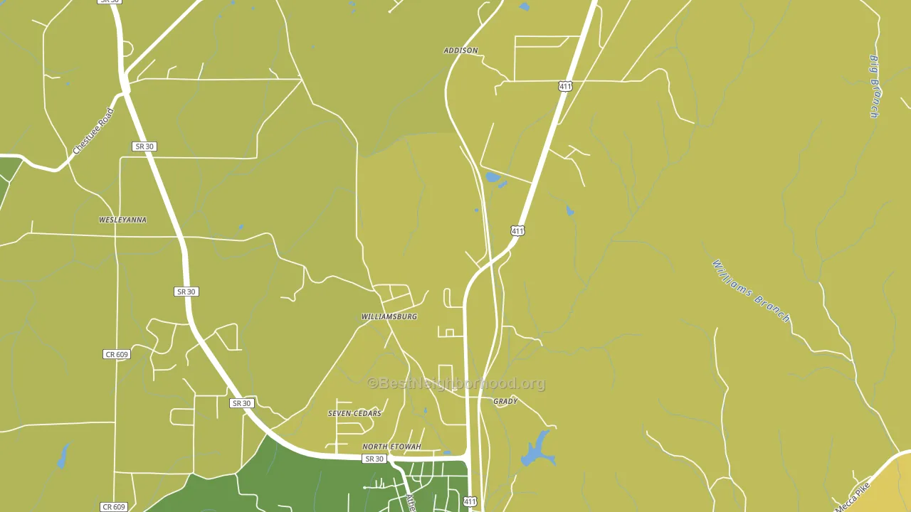 Williamsburg, TN block-group voter-turnout map