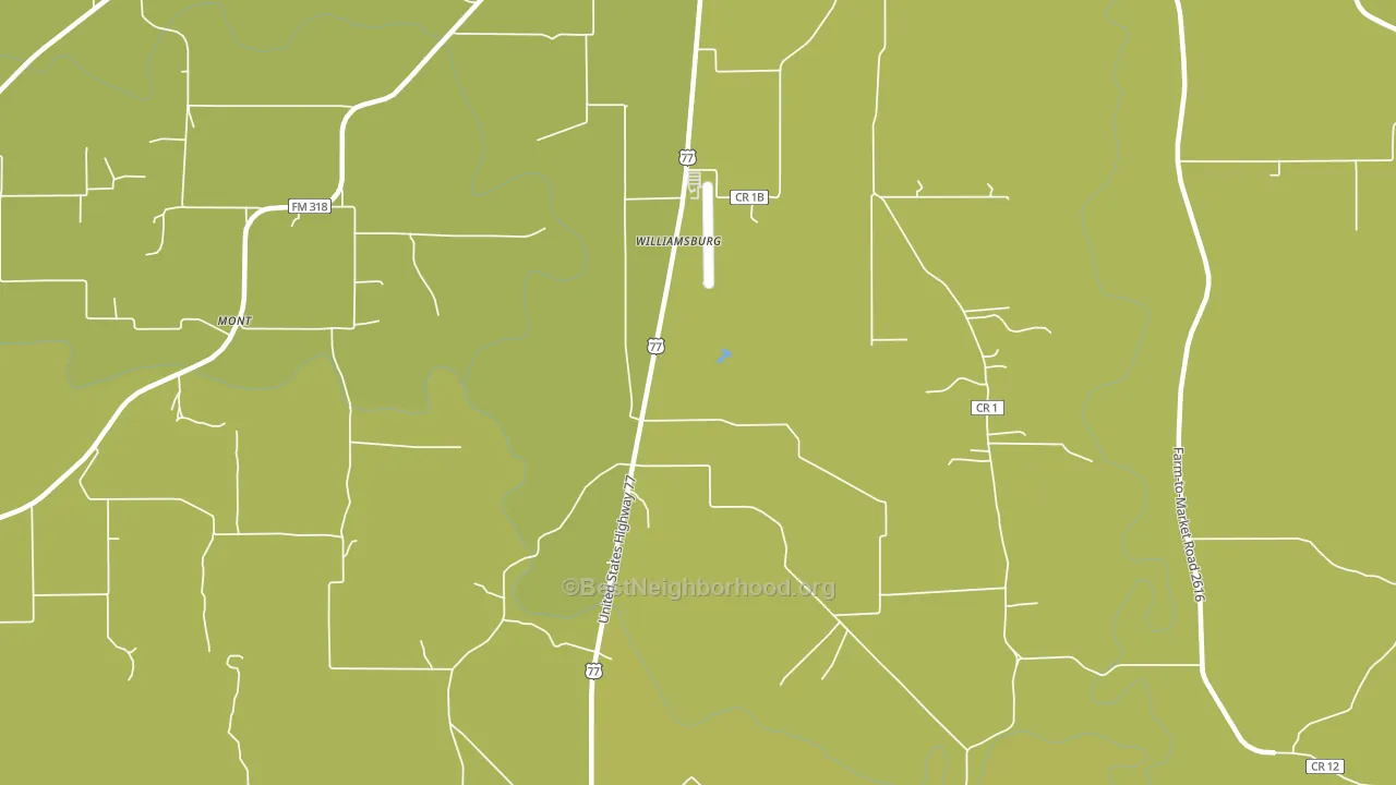 Williamsburg, TX block-group voter-turnout map