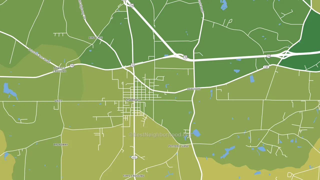 Williamson Crossroads, NC block-group voter-turnout map