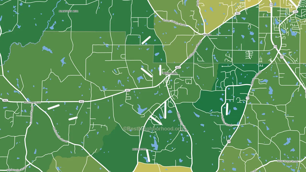 Williamson, GA block-group voter-turnout map