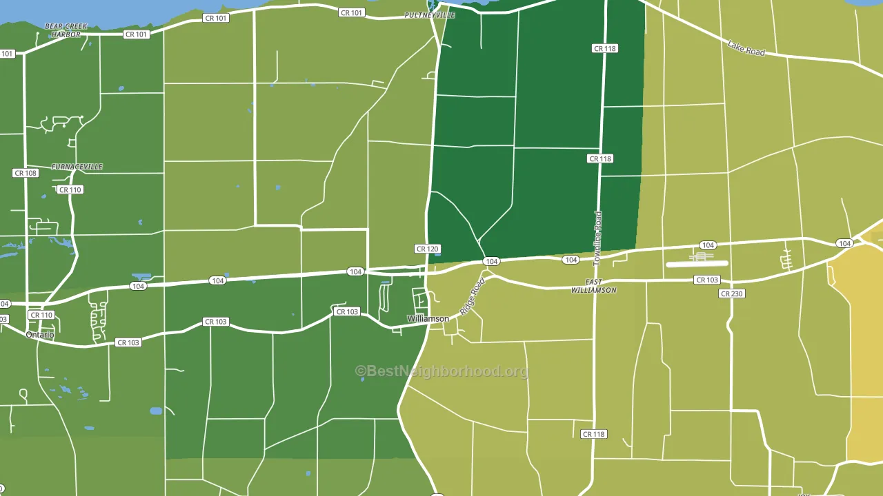 Williamson, NY block-group voter-turnout map