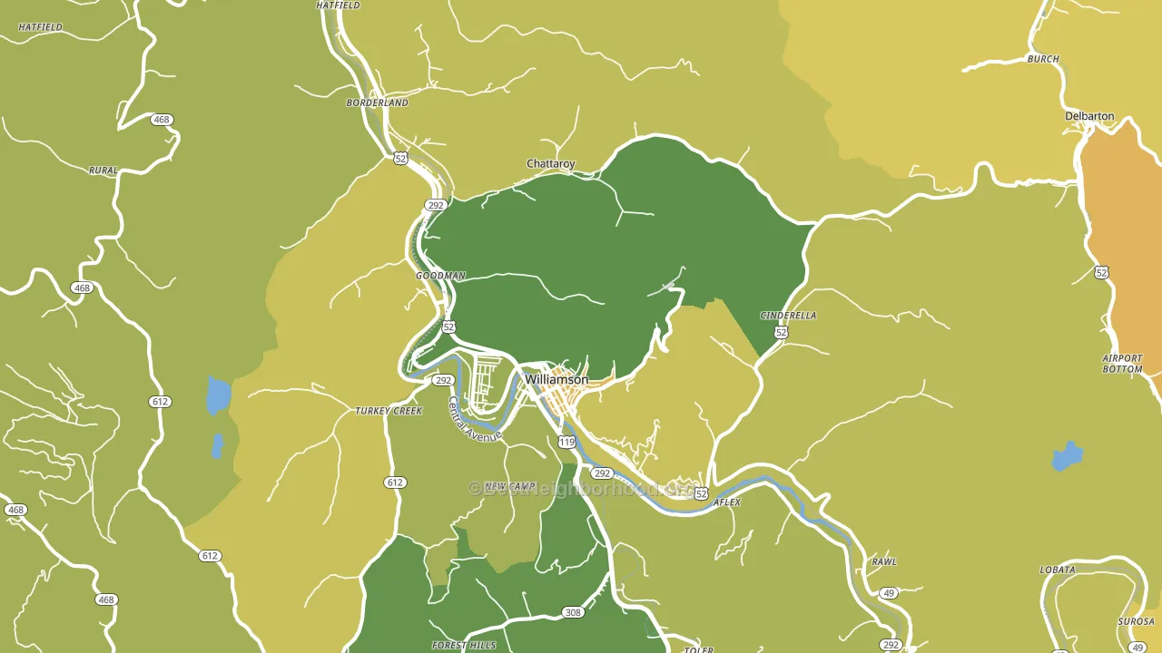 Williamson, WV block-group voter-turnout map
