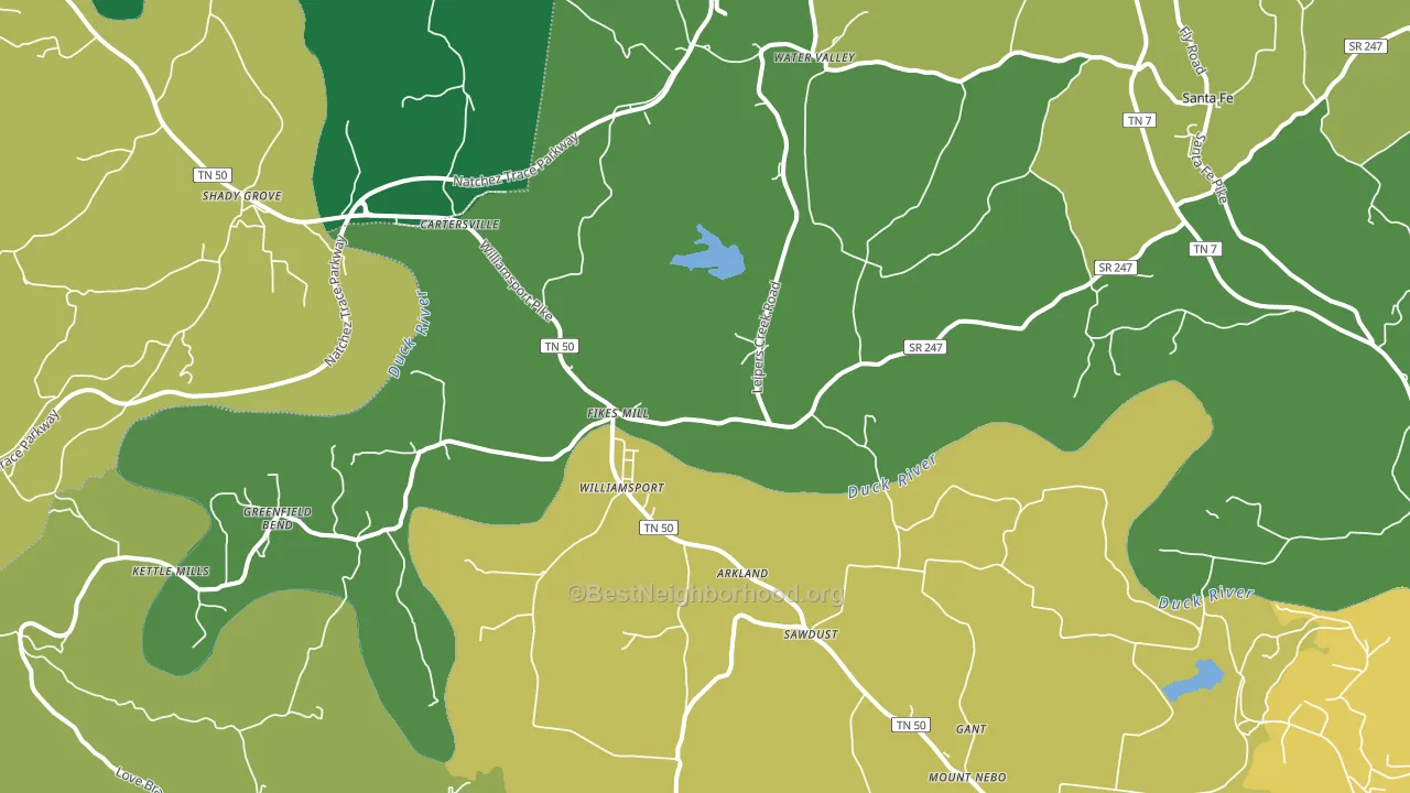 Williamsport, TN block-group voter-turnout map