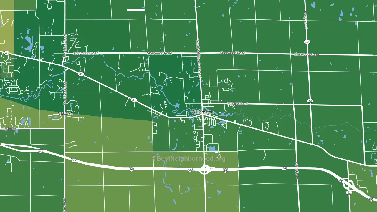 Williamston, MI block-group voter-turnout map