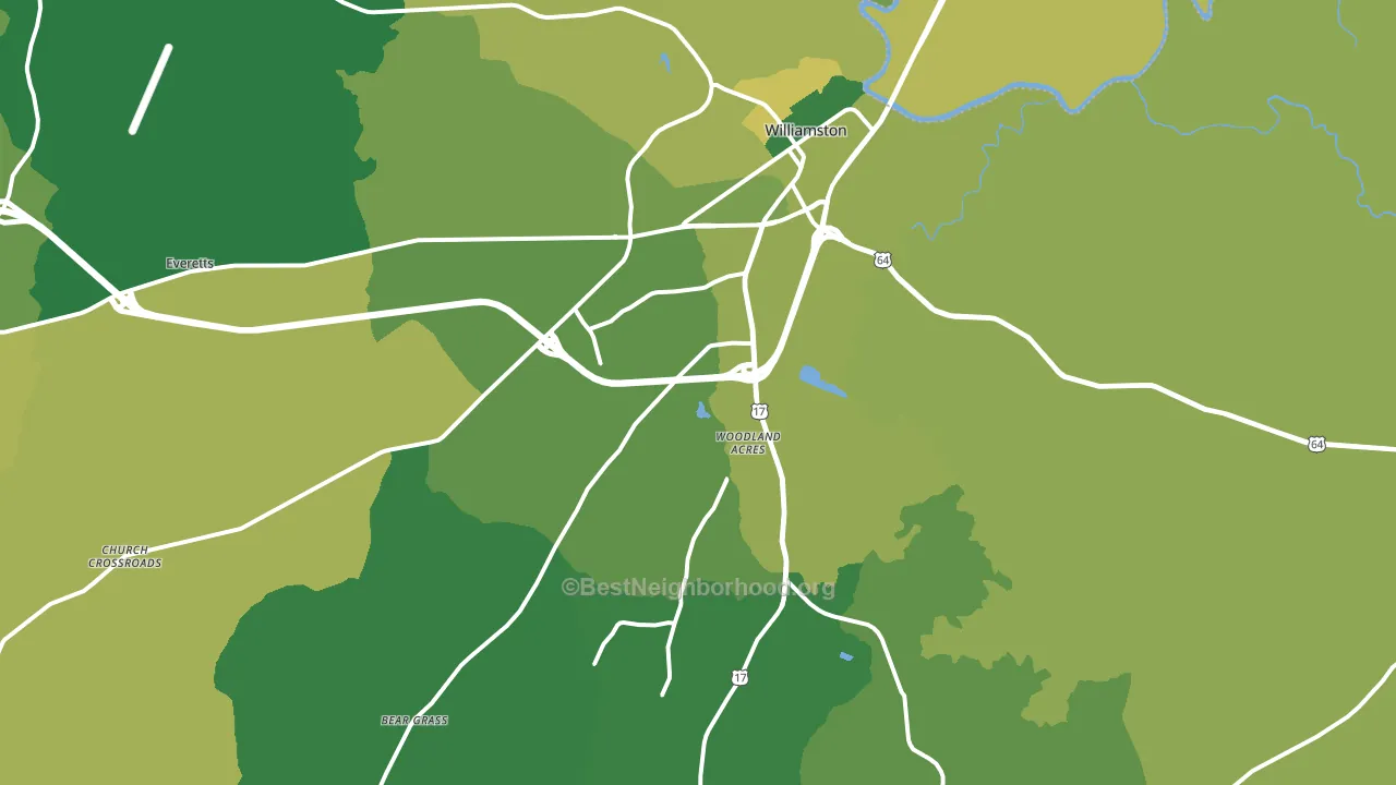 Williamston, NC block-group voter-turnout map