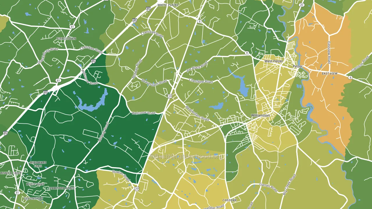 Williamston, SC block-group voter-turnout map