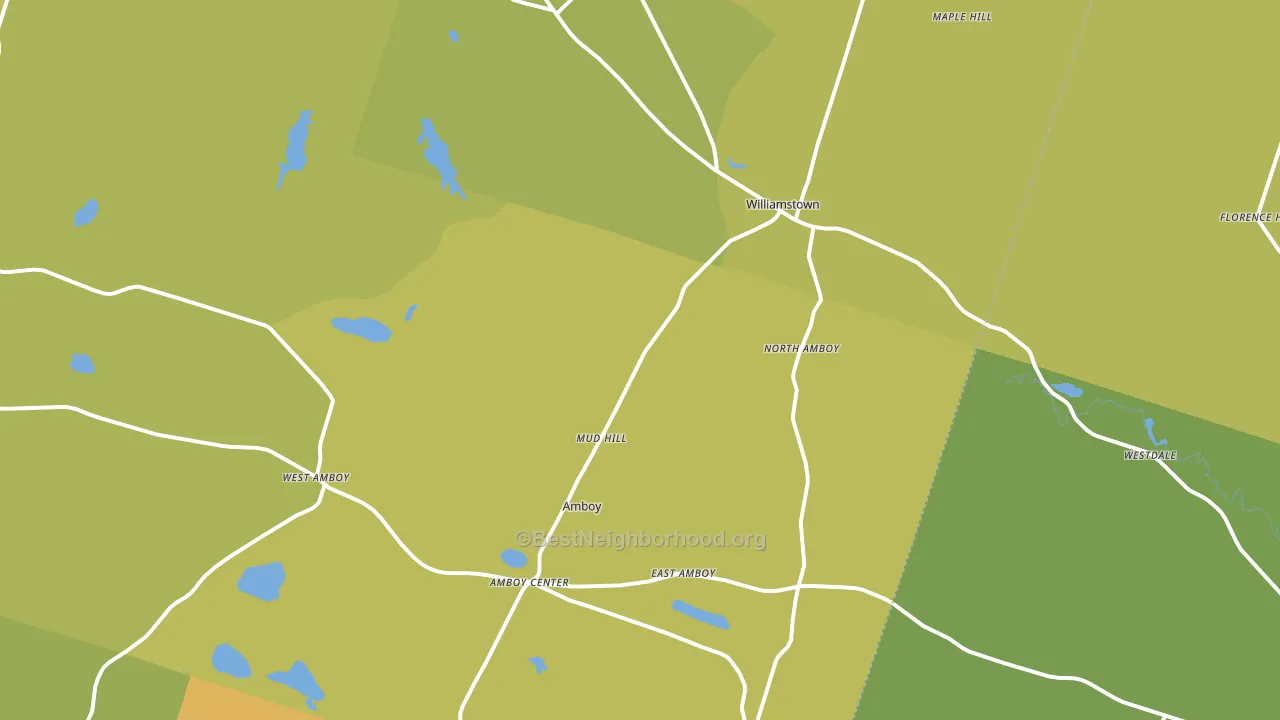 Williamstown, NY block-group voter-turnout map