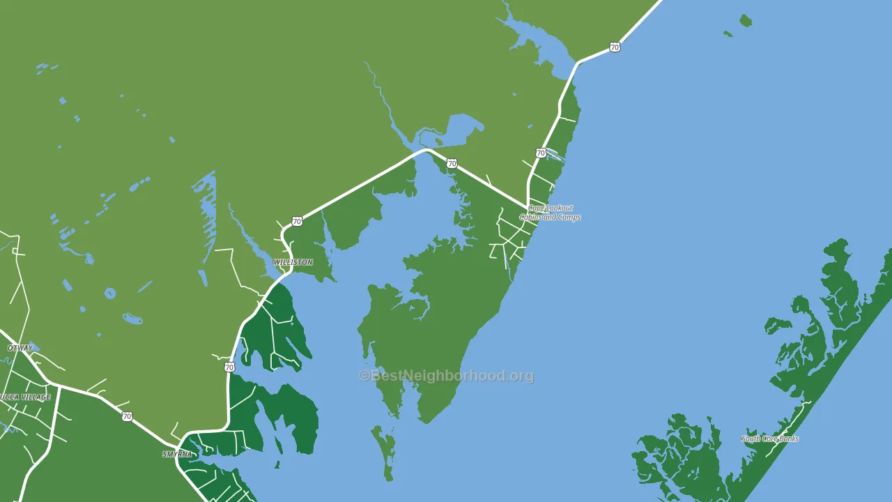 Williston, NC block-group voter-turnout map