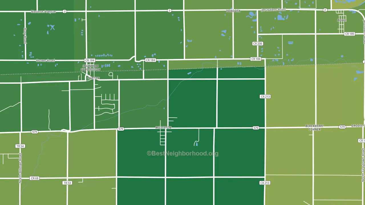 Williston, OH block-group voter-turnout map