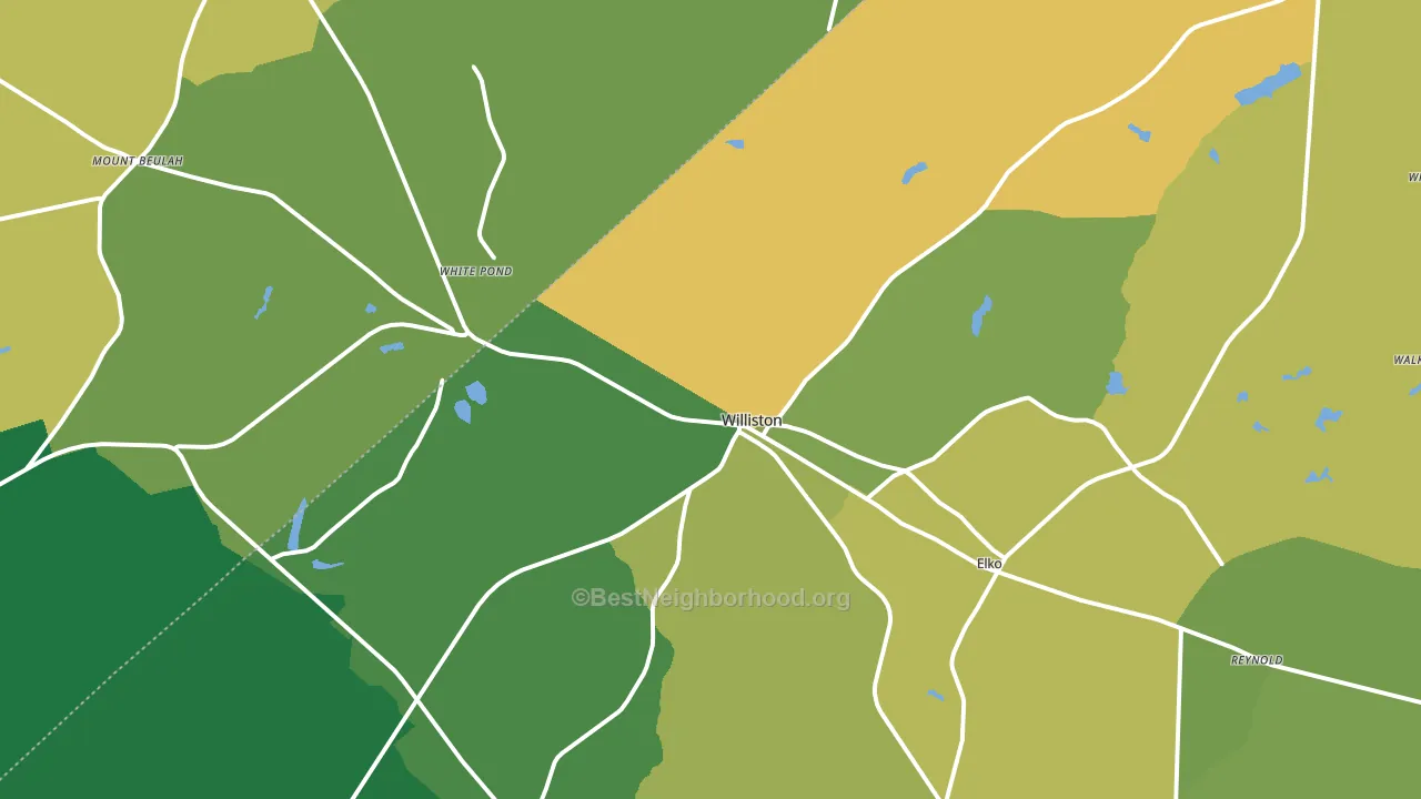 Williston, SC block-group voter-turnout map