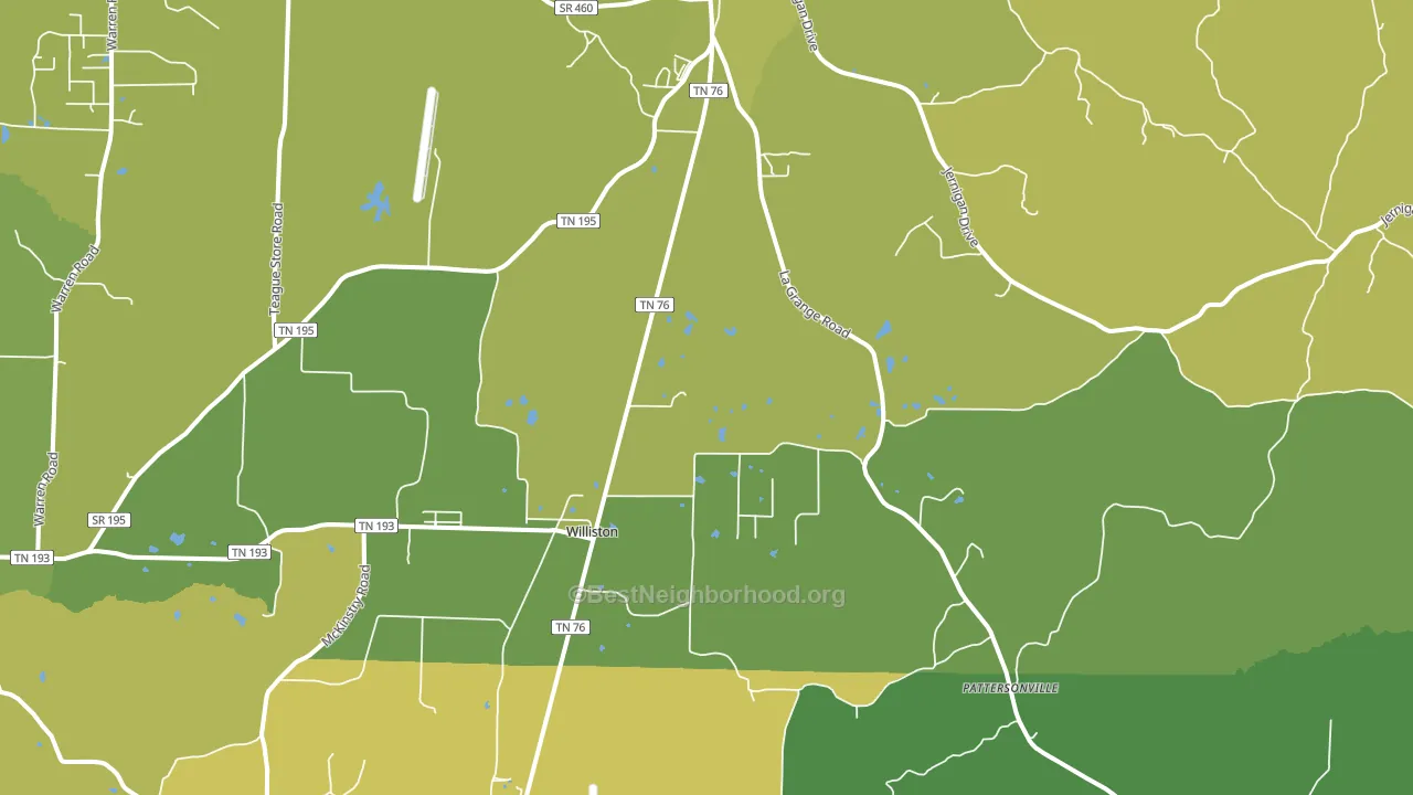 Williston, TN block-group voter-turnout map