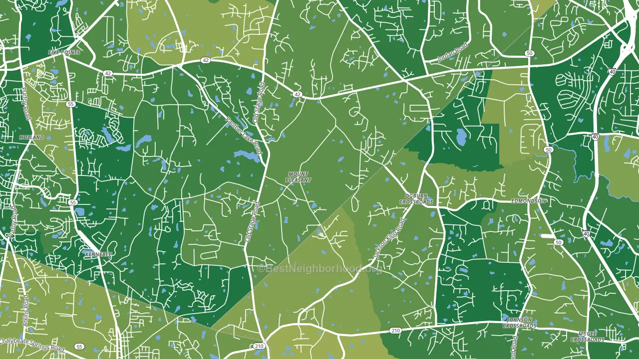 Willow Spring, NC block-group voter-turnout map