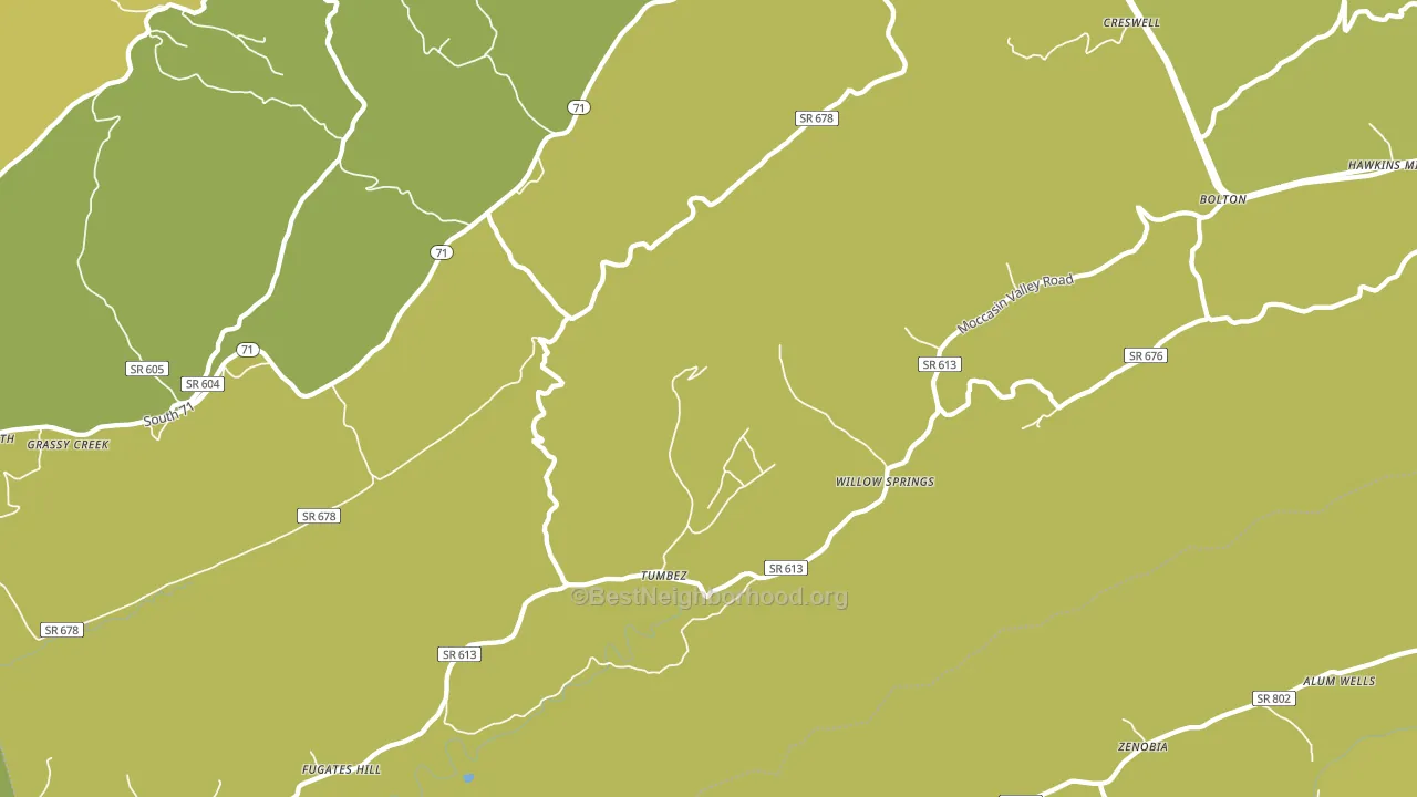 Willow Spring, VA block-group voter-turnout map