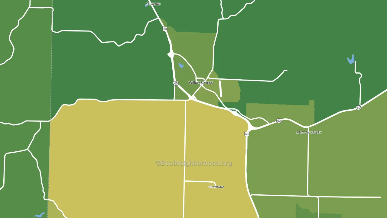 Willow Springs, MO block-group voter-turnout map