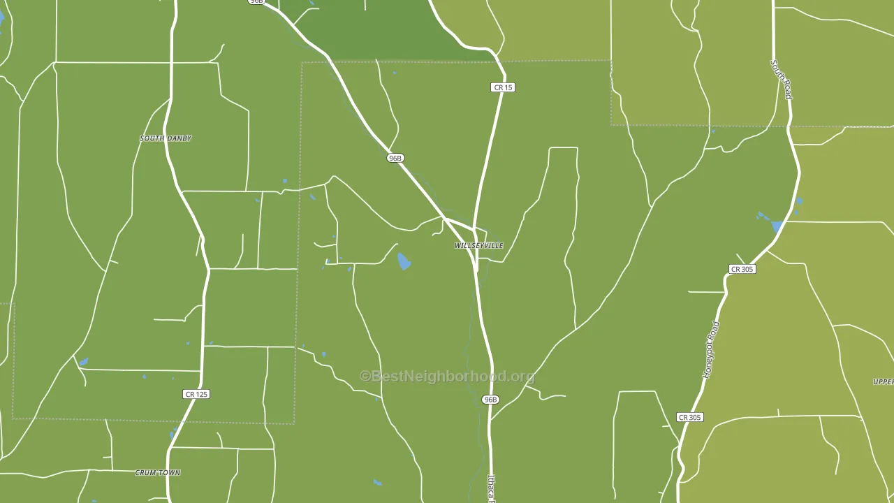 Willseyville, NY block-group voter-turnout map