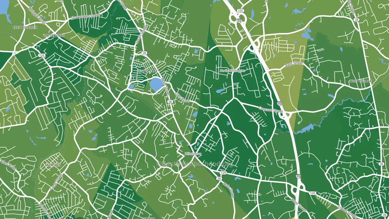 Wilmington, MA block-group voter-turnout map
