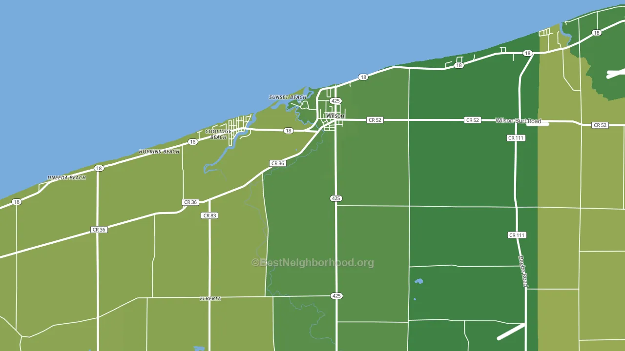 Wilson, NY block-group voter-turnout map