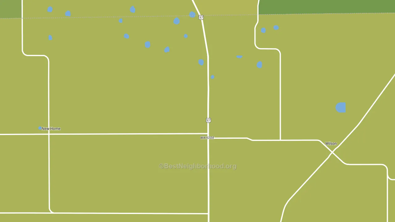 Wilson, TX block-group voter-turnout map