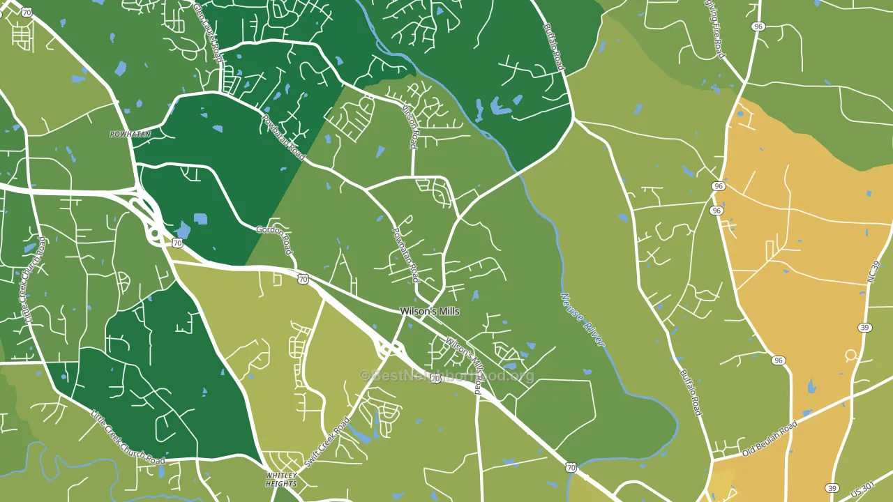 Wilsons Mills, NC block-group voter-turnout map