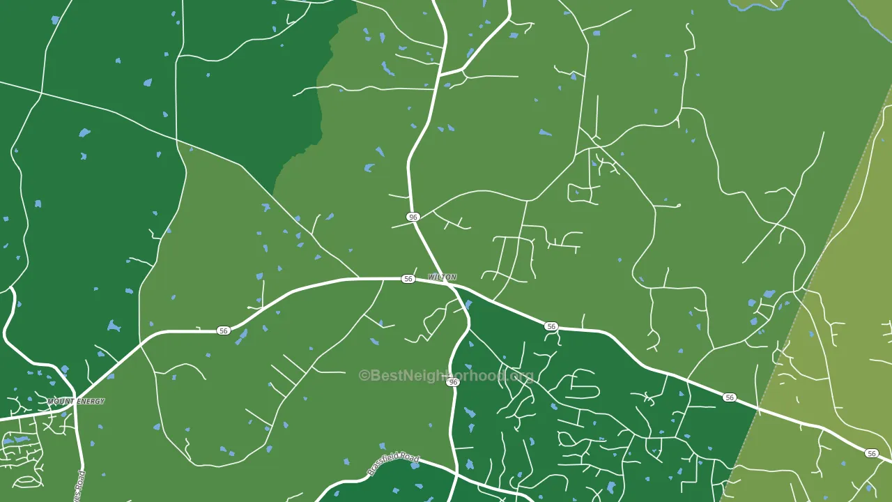 Wilton, NC block-group voter-turnout map