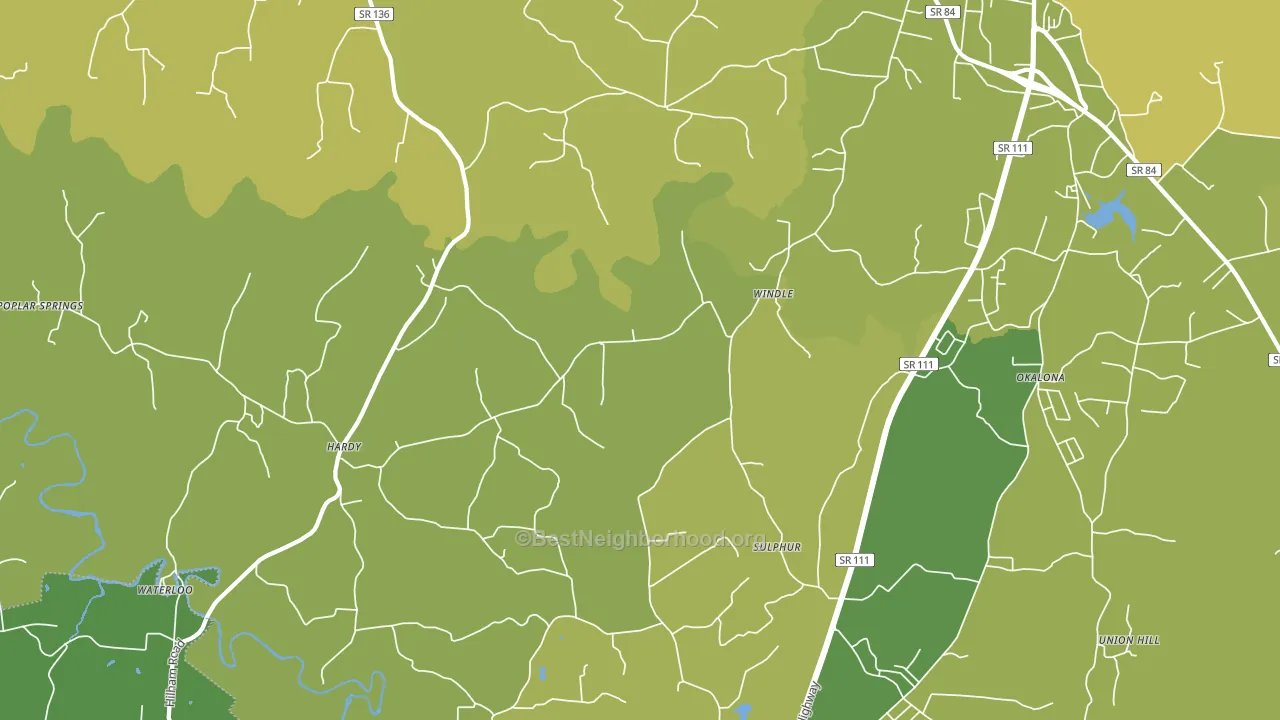 Windle, TN block-group voter-turnout map