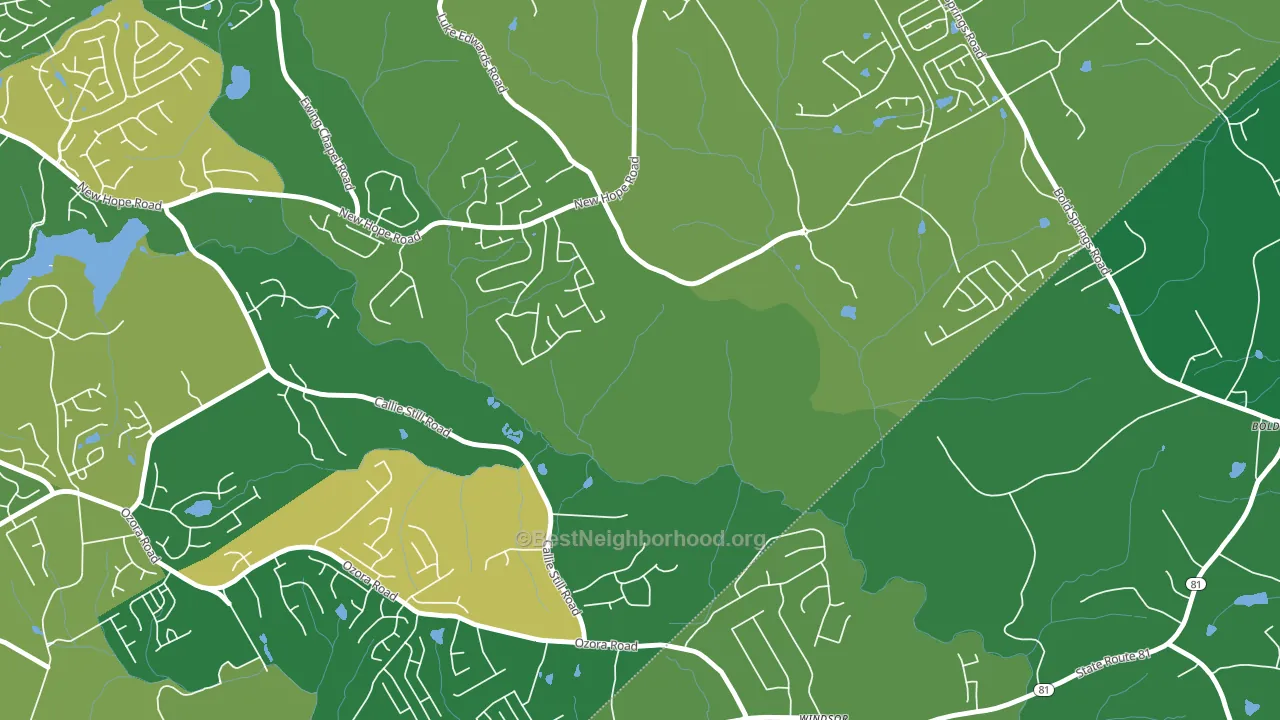 Windsor, GA block-group voter-turnout map