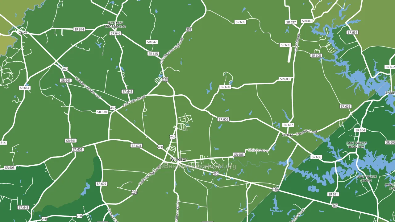 Windsor, VA block-group voter-turnout map