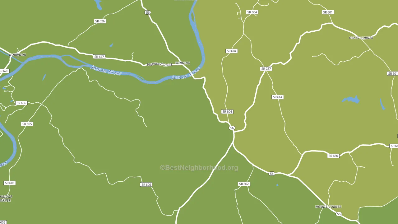 Wingina, VA block-group voter-turnout map