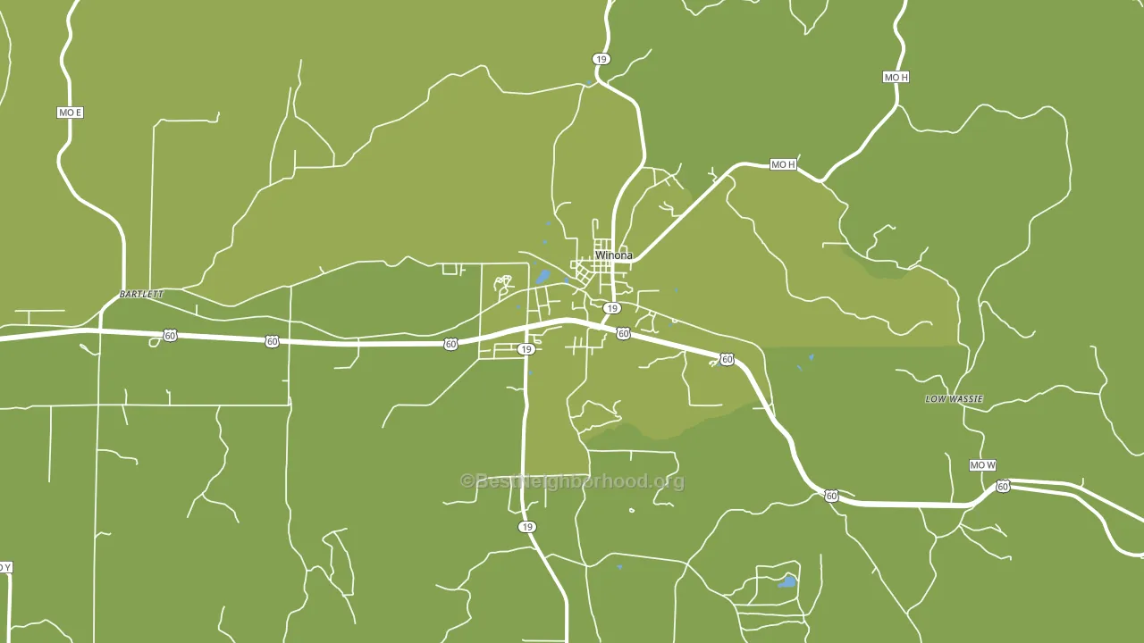 Winona, MO block-group voter-turnout map