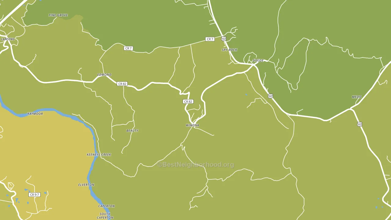 Winona, WV block-group voter-turnout map