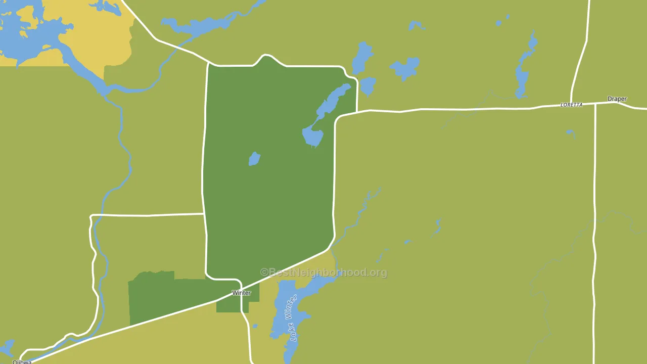 Winter, WI block-group voter-turnout map