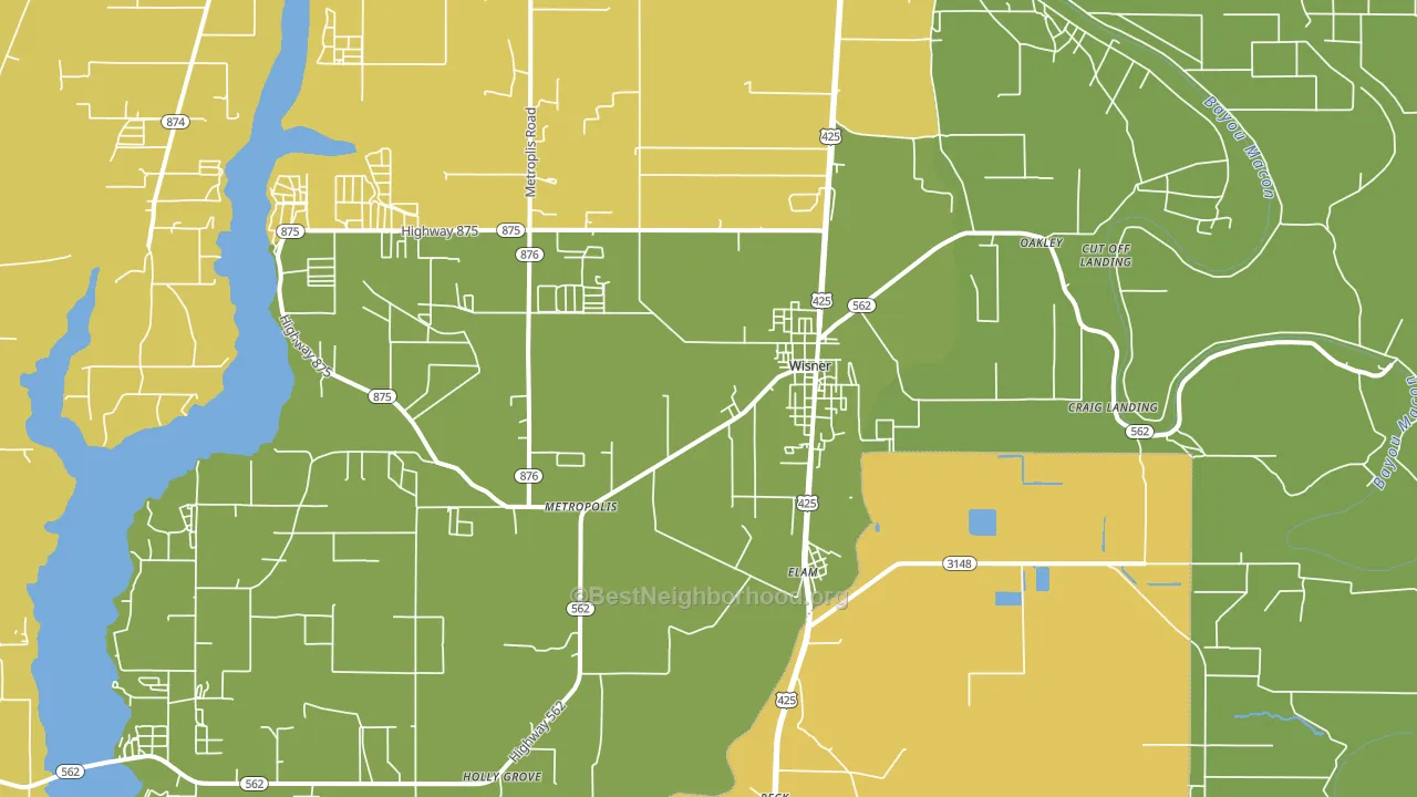 Wisner, LA block-group voter-turnout map