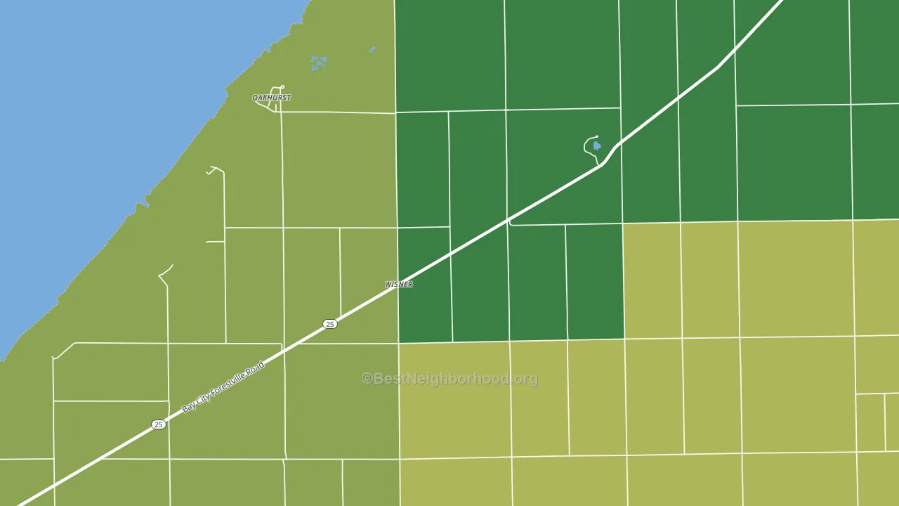Wisner, MI block-group voter-turnout map