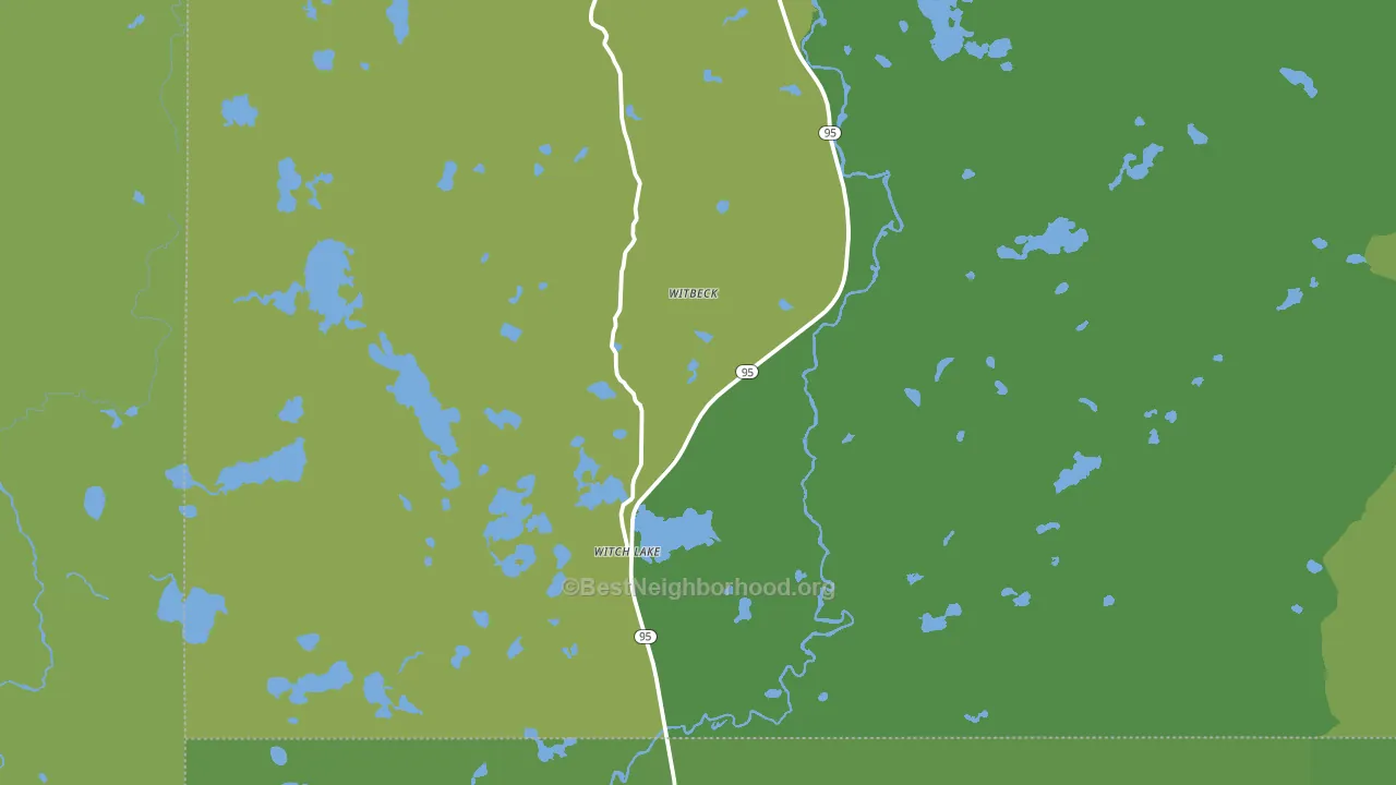 Witch Lake, MI block-group voter-turnout map