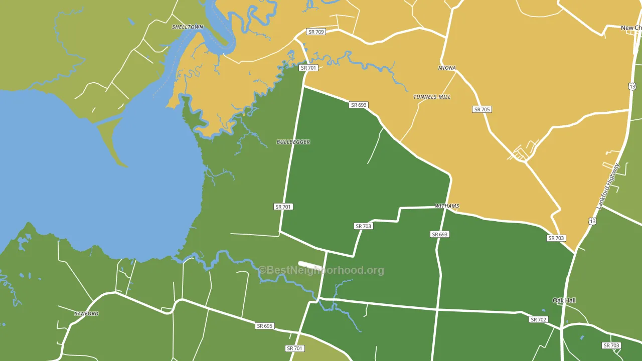 Withams, VA block-group voter-turnout map