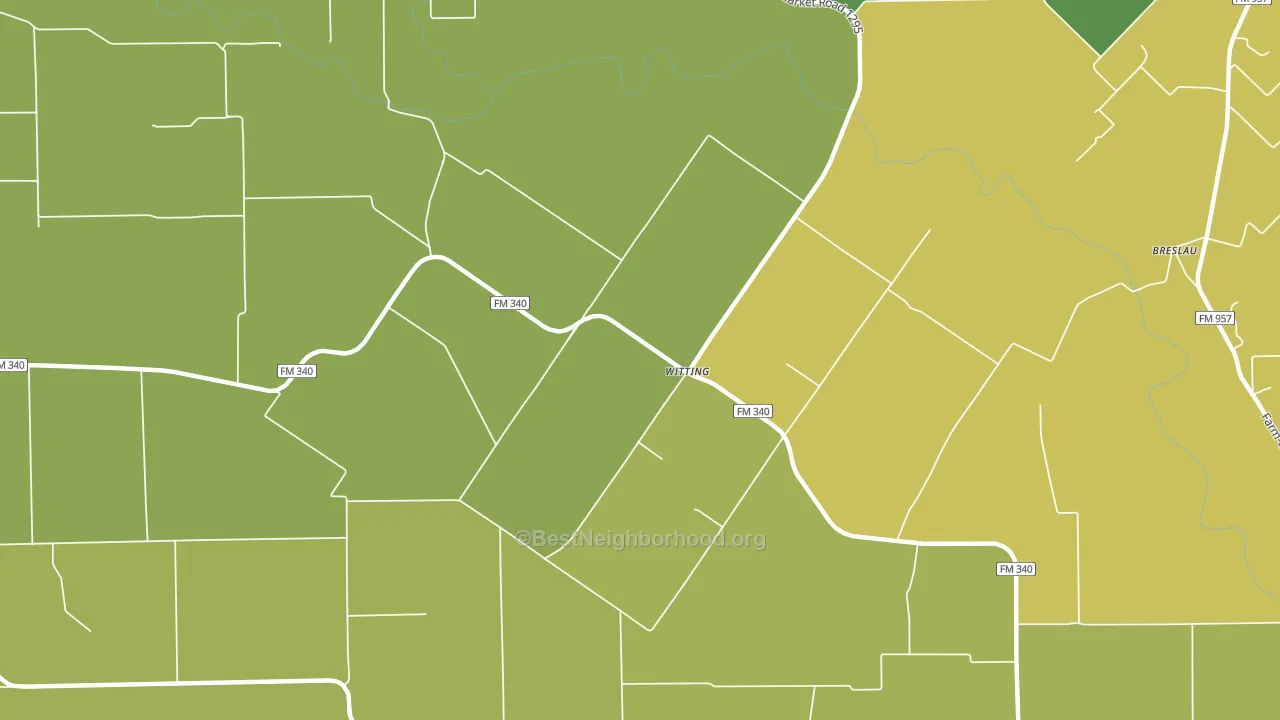 Witting, TX block-group voter-turnout map