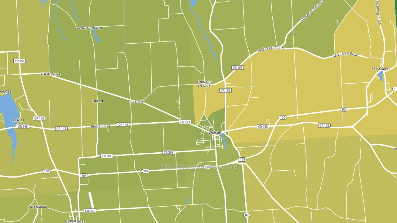Wolcott, NY block-group voter-turnout map