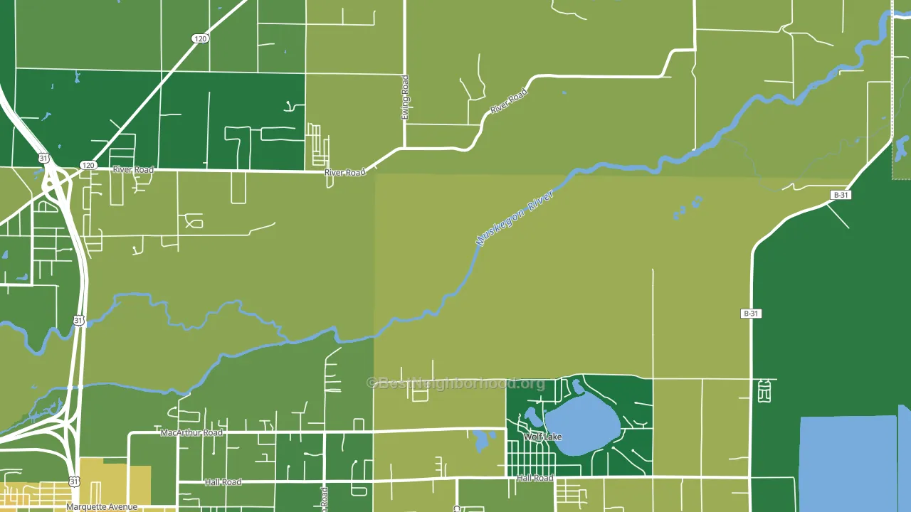 Wolf Lake, MI block-group voter-turnout map