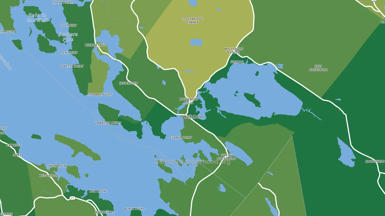 Wolfeboro Falls, NH block-group voter-turnout map